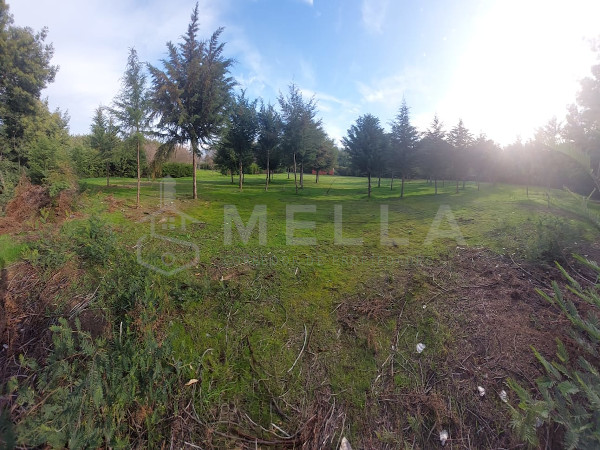 mella corredor de propiedades