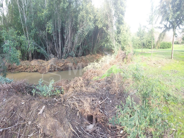 mella corredor de propiedades