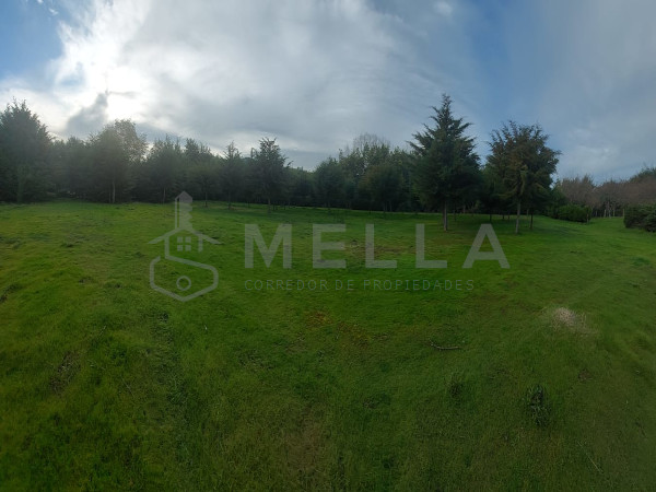 mella corredor de propiedades