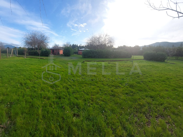 mella corredor de propiedades