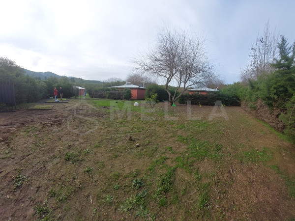 mella corredor de propiedades