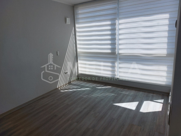 departamento concepcion