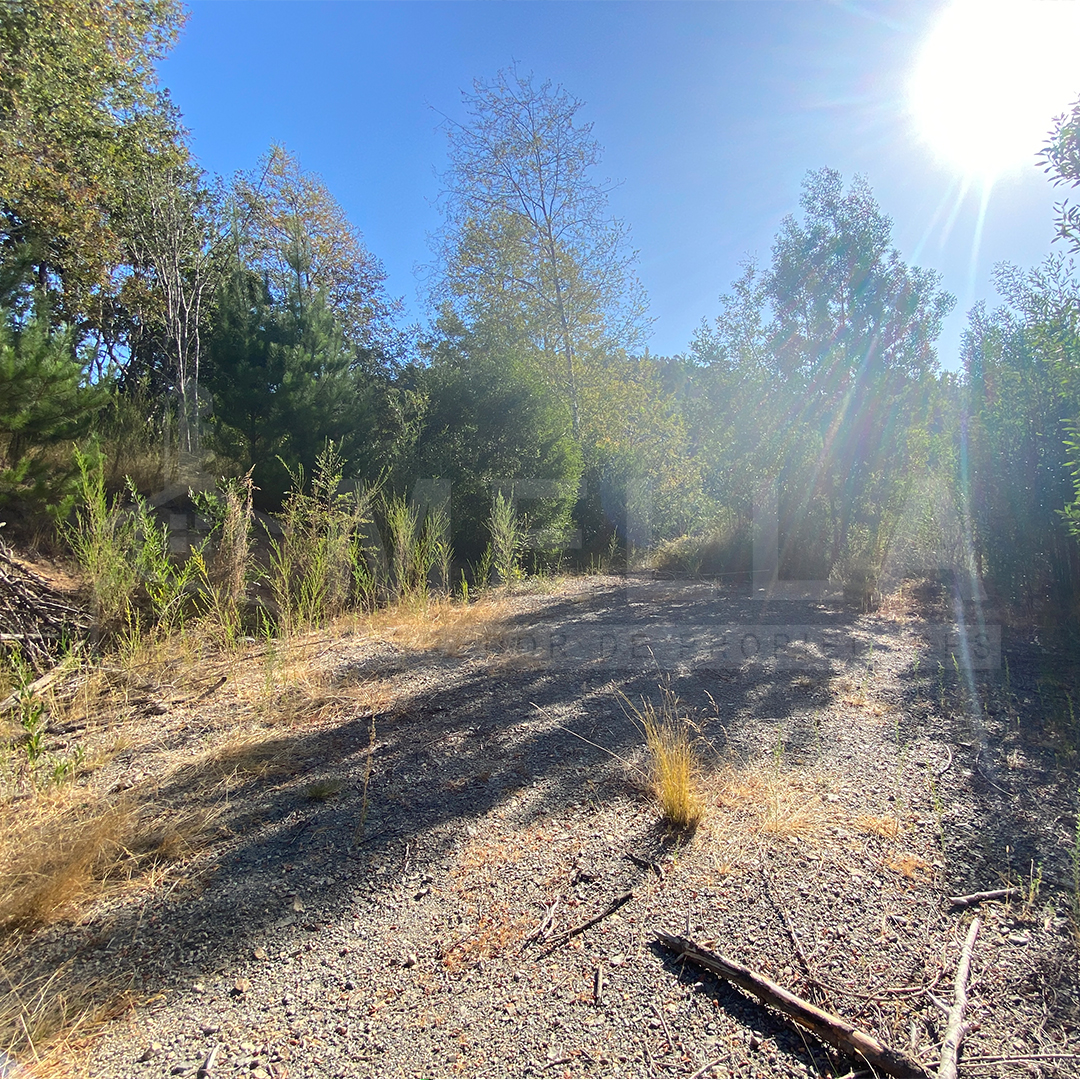 Fundo San Ignacio camino Peña Blanca