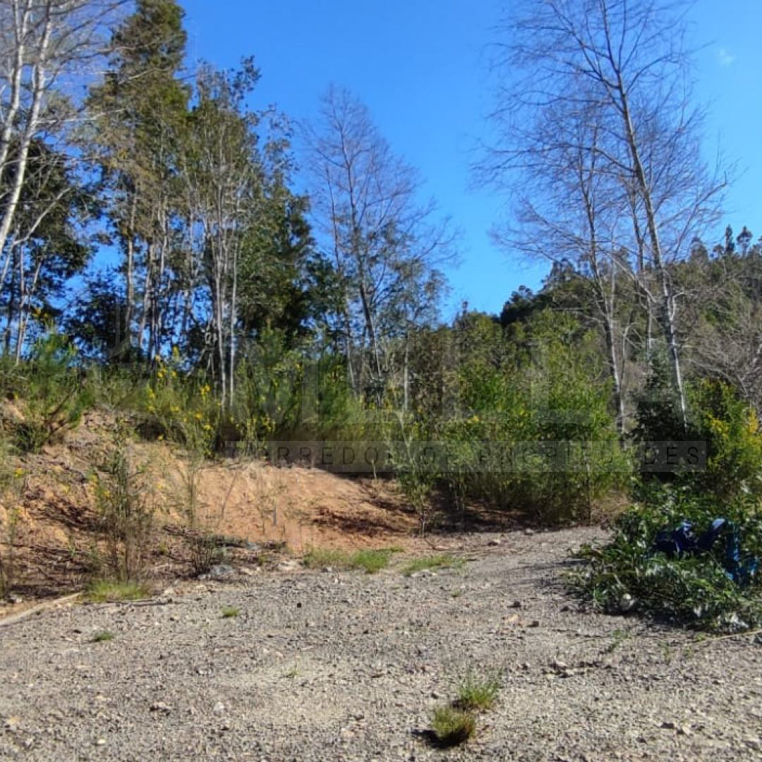 Fundo San Ignacio camino Peña Blanca